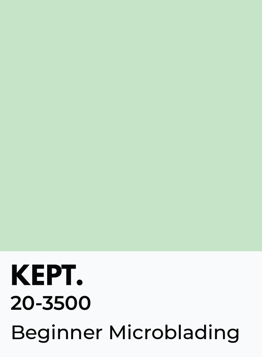 Everlasting Brows Beginner Microblading Certification